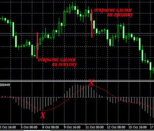 chto-takoe-sovetnik-dlja-foreks-i-kak-formirujutsja-ego-rejtingi