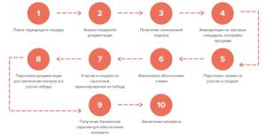 tendery-dlja-novichkov-polnoe-rukovodstvo-po-uchastiju-v-gosudarstvennyh-i-kommercheskih-zakupkah